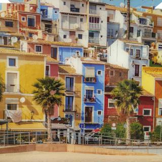 A vibrant display of colorful buildings along the coastline, enhanced by palm trees and a sunny atmosphere.