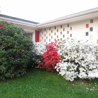 A modern house with a colorful garden featuring red and white flowering bushes.