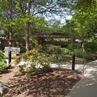 A serene garden scene with lush trees and a winding pathway.