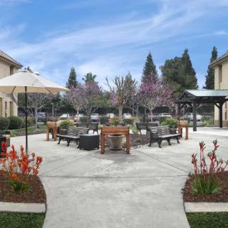 A landscaped outdoor patio area with furniture and umbrellas, surrounded by trees and adjacent buildings.