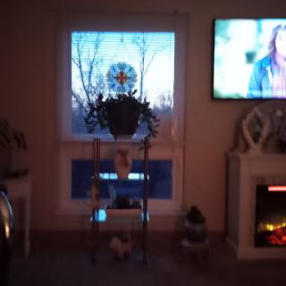 A cozy indoor setting featuring a window with a plant, a television in the background, and warm lighting.