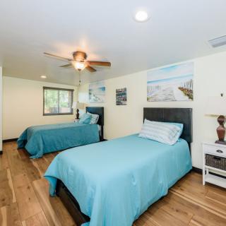 A modern bedroom with two twin beds and blue bedding, featuring a ceiling fan and wood flooring.