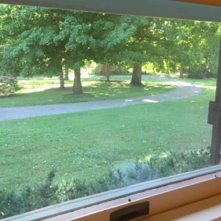 A view of a green landscape with trees and a pathway seen through a window.