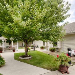 A serene garden area with a lush tree and a winding pathway leading to a patio.