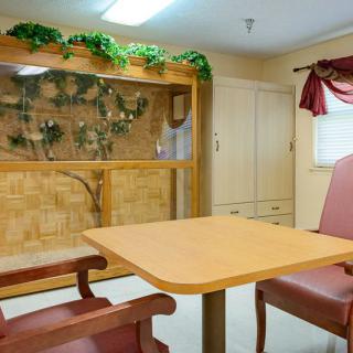 A cozy dining area with a wooden table and chairs, featuring decorative plants on a shelving unit.