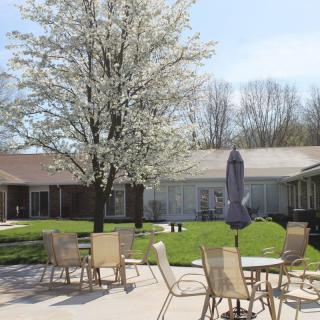 A sunny patio with chairs and tables under a blossoming tree.