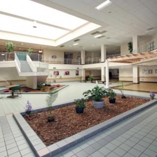 A spacious atrium with modern design, featuring plants and ample natural lighting.