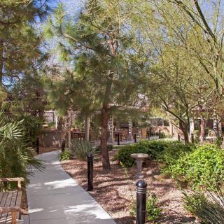 A serene garden pathway surrounded by lush greenery and trees.