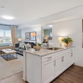 A modern open floor plan featuring a cozy living room and adjoining kitchen area, decorated with contemporary furnishings.