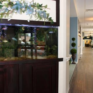 A stylish aquarium integrated into an office interior, adding a touch of nature to the workspace.