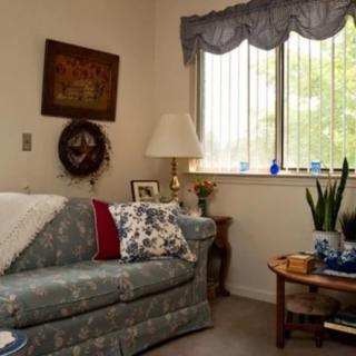 A cozy living room with a patterned sofa, cushions, and decor near a window.