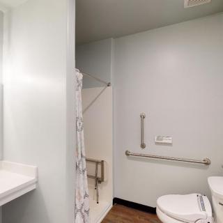 Accessible bathroom with a shower and grab bars for safety.