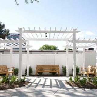A serene garden setting with a white pergola, wooden benches, and a paved pathway under a clear sky.