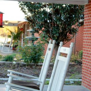 Rosewood Tupelo