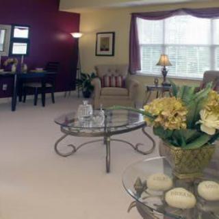 A cozy living room featuring a glass coffee table, comfortable chairs, and decorative flowers in a warm and inviting setting.