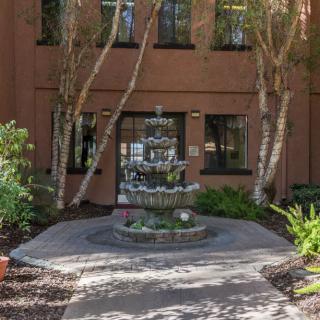 A decorative fountain at the entrance of a building, surrounded by plants and trees.