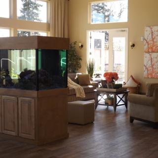 A cozy living room featuring a large aquarium and comfortable seating.