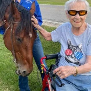 An elderly woman wearing sunglasses pets a horse outdoors while sitting in a wheelchair.