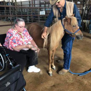 A woman in a wheelchair interacts with a pony, assisted by a man wearing a cowboy hat.