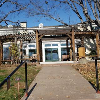 A sunny day at the entrance of a building with a pathway leading to it, flanked by trees.