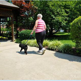 A woman walking a dog in a garden on a sunny day.