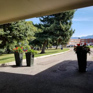 A serene outdoor view showcasing vibrant flower pots along a pathway framed by lush trees and a clear blue sky.