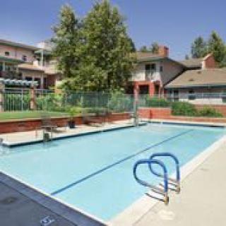 An outdoor swimming pool in a residential area with clear skies and trees surrounding it.