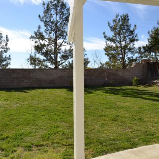 A sunlit backyard with grass, trees, and a stone wall.
