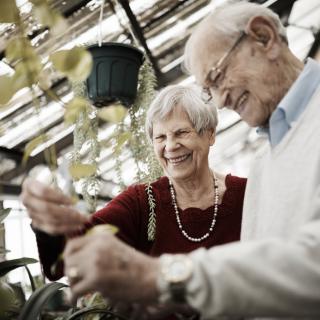 An elderly couple enjoying their time in a greenhouse surrounded by plants.