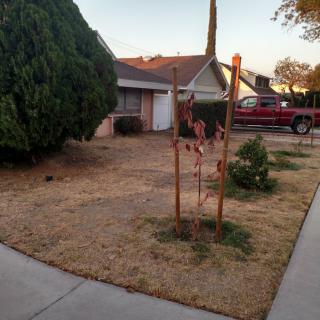 Golden Guest Home