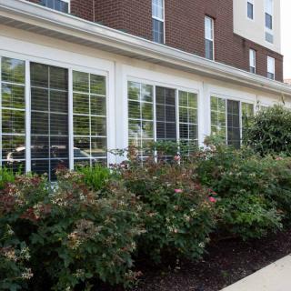 A brick building with large windows and landscaped bushes in front.