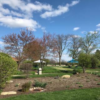 A scenic garden landscape with trees under a blue sky with clouds.