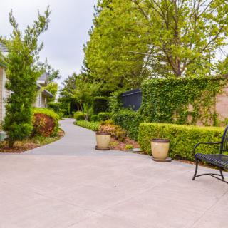 A serene garden pathway lined with lush greenery and a black bench inviting visitors to relax.