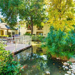 A serene landscape featuring a small bridge over a pond surrounded by lush greenery and trees, with buildings in the background.