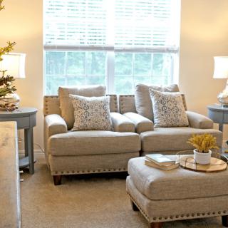 A cozy and well-lit living room with comfortable seating and tasteful decor.