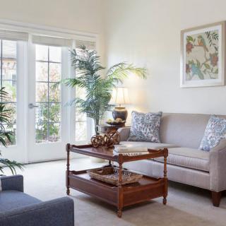 A cozy living room with a modern sofa, wooden coffee table, and decorative plants near large windows.