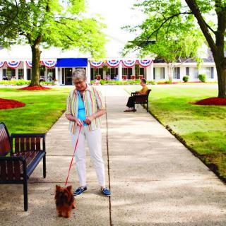 An elderly person walking a dog along a pathway in a park-like setting.