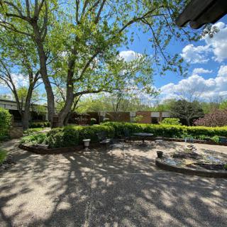 A serene garden scene with lush greenery and a bright blue sky dotted with clouds.