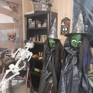 A spooky Halloween scene featuring a skeleton alongside two witch-themed decorations.