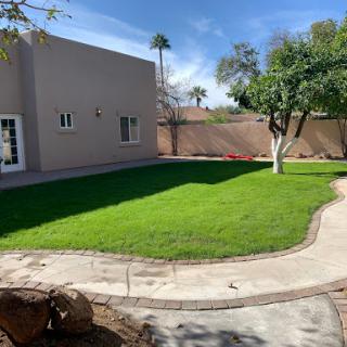 A beautifully landscaped yard with lush green grass and a winding pathway.