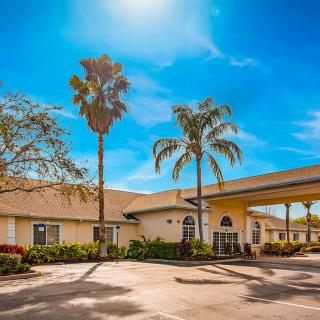 A sunny day at a building entrance lined with palm trees.