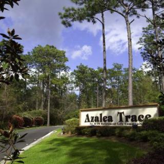 Entrance sign for Analea Trace surrounded by lush greenery and tall trees.