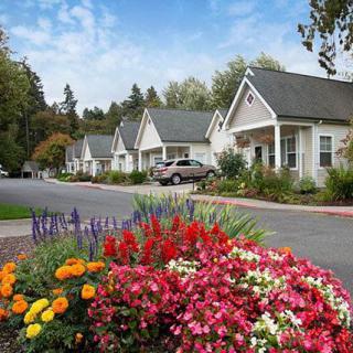 A picturesque residential neighborhood with vibrant flower gardens.