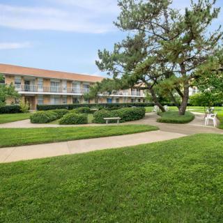 A peaceful outdoor landscape with a pathway, trees, and a building in the background.