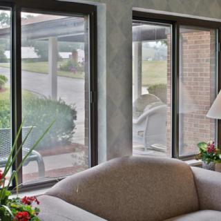 A cozy living room with large windows, a comfortable sofa, a lamp, and indoor plants.