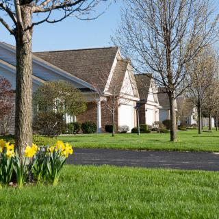 A row of suburban houses with blooming spring flowers and trees lining a quiet neighborhood street.