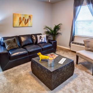 A cozy living room with a black leather sofa, a modern coffee table, and stylish decor.