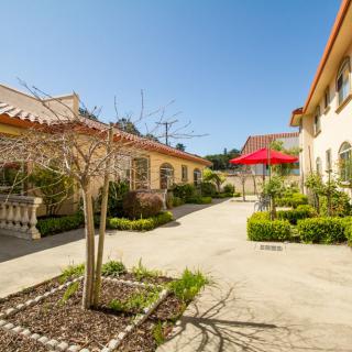 A sunny courtyard with trees, landscaping, and a red umbrella between buildings.