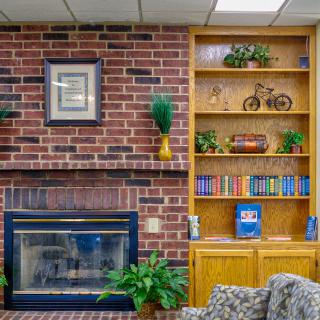 A cozy living room with a brick fireplace, wooden bookshelf, and decorative plants.