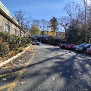 A peaceful parking lot surrounded by trees during autumn.